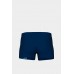 Плавки Arena DREAMHLINE SWIM SHORT (008334-750)