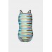 Детски купальник Arena RACING STRIPE SWIMSUIT LIGHTDR (009006-550)