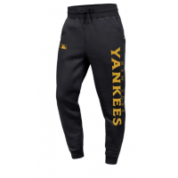 Штани спортивні 47 Brand NEW YORK YANKEES SKY HIGH (626226FN-FS) розмір L