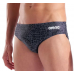 Плавки Arena SNAKESKIN SWIM BRIEFS (010162-500) розмір 100