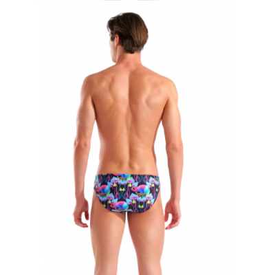 Плавки Arena MULTI CHAMELEONS SWIM BRIEFS (010212-550) розмір 80