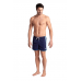 Шорты Arena TEAM STRIPE SHORT (007133-781)