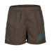 Шорти Arena BEACH SHORT LOGO R (006446-681) розмір 6