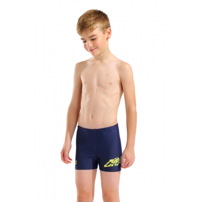 Дитячі плавки для плавання Arena LETTERING SWIM SHORT (010864-700) розмір 10 Дитячі плавки для плавання Arena LETTERING SWIM SHORT (010864-700) розмір 10