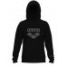 Реглан Arena BRUSHED HOODED SWEAT LOGO (007684-500) розмір L