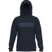 Реглан Arena BRUSHED HOODED SWEAT LOGO (007684-700) розмір M