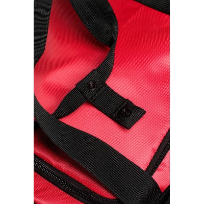 Сумка Arena ALL SET DUFFLE 25L (010236-600)