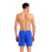 Мужские шорты для плавания (пляжные) Arena BYWAYX R (006442-831) размер S