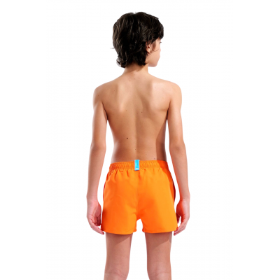 Детские шорты для плавания (пляжные) Arena BEACH SHORT LOGO R (006446-370) размер 6