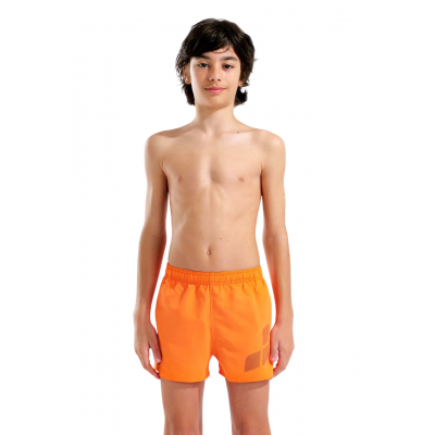 Детские шорты для плавания (пляжные) Arena BEACH SHORT LOGO R (006446-370) размер 6