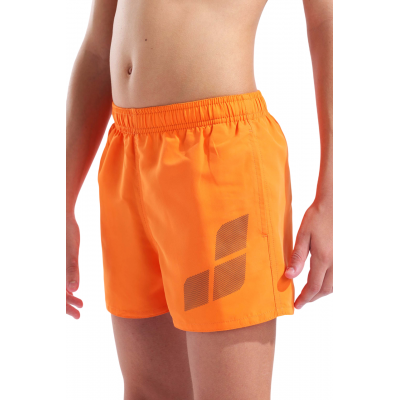 Детские шорты для плавания (пляжные) Arena BEACH SHORT LOGO R (006446-370) размер 6