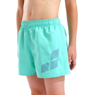 Детские шорты для плавания (пляжные) Arena BEACH SHORT LOGO R (006446-890) размер 6