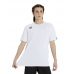 Футболка Arena TEAM T-SHIRT SOLID (004900-100)