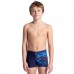 Детские плавки Arena DALY SWIM SHORT (003297-809)