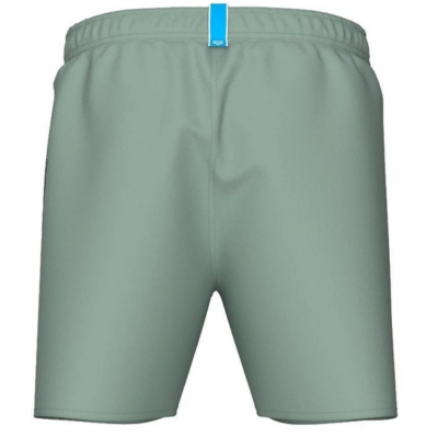 Шорти Arena FUNDAMENTALS LOGO BOXER R (006444-650)
