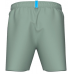 Шорти Arena FUNDAMENTALS LOGO BOXER R (006444-650)