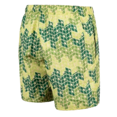 Чоловічі шорти Arena BEACH SHORT ALLOVER (005980-610)