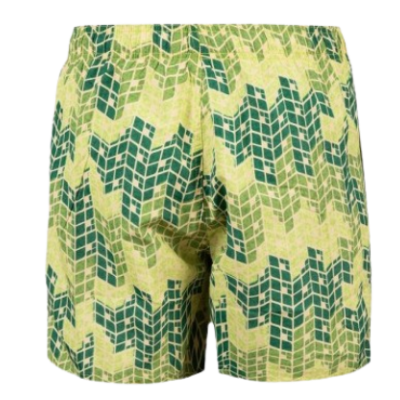 Чоловічі шорти Arena BEACH SHORT ALLOVER (005980-610)