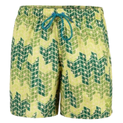 Чоловічі шорти Arena BEACH SHORT ALLOVER (005980-610)