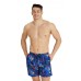 Чоловічі шорти Arena MEN'S BEACH BOXER ALLOVER (005251-550)