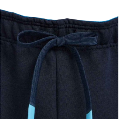 Штани спортивні чоловічі Arena TEAM PANT SOLID (004908-700)