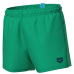 Шорти Arena BYWAYX YOUTH R (006445-670)
