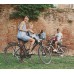 Сиденье пер. Bellelli Rabbit Handlefix до 15кг, серебристое с красной подкладкой