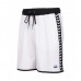 Мужские шорты Arena ICONS TEAM STRIPE UNISEX BERMU (004298-150)