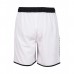 Мужские шорты Arena ICONS TEAM STRIPE UNISEX BERMU (004298-150)