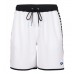 Мужские шорты Arena ICONS TEAM STRIPE UNISEX BERMU (004298-150)