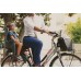 Сиденье задн. Bellelli Mr Fox Standart B-fix до 22кг, серое с красной подкладкой