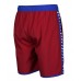 Мужские шорты Arena ICONS TEAM STRIPE UNISEX BERMU (004298-480)