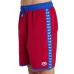 Мужские шорты Arena ICONS TEAM STRIPE UNISEX BERMU (004298-480)