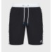 Мужские шорты Arena ICONS TEAM STRIPE UNISEX BERMU (004298-510)