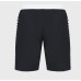 Мужские шорты Arena ICONS TEAM STRIPE UNISEX BERMU (004298-510)