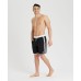 Мужские шорты Arena ICONS TEAM STRIPE UNISEX BERMU (004298-510)