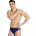 Плавки Arena ICONS SWIM BRIEFS (005049-700)