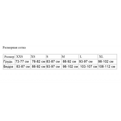 Купальник (низ) Arena FREE BRIEF (001112-102)