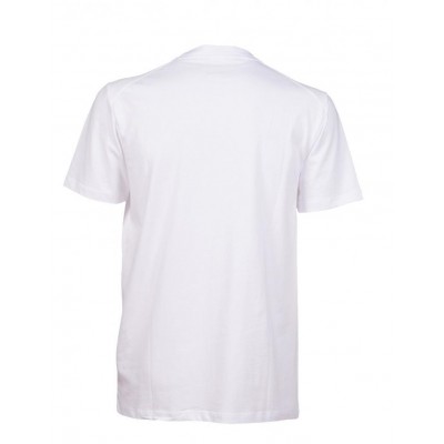 Чоловіча футболка Arena TEAM T-SHIRT PANEL (004899-100)