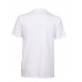 Чоловіча футболка Arena TEAM T-SHIRT PANEL (004899-100)