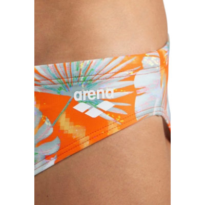 Плавки Arena SWIM BRIEFS ALLOVER (005244-350)