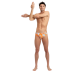 Плавки Arena SWIM BRIEFS ALLOVER (005244-350)