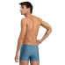 Плавки Arena ZIP SWIM SHORT (006159-550)