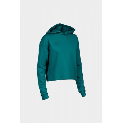 Жіноче худі Arena HOODED SWEAT FLEECE (005586-660)