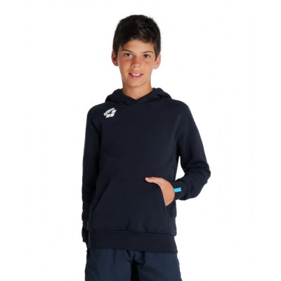 Детские худые Arena TEAM HOODED SWEAT PANEL (004919-700)