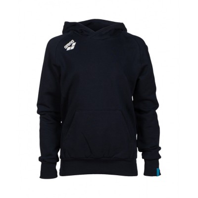 Детские худые Arena TEAM HOODED SWEAT PANEL (004919-700)