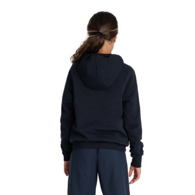 Детские худые Arena TEAM HOODED SWEAT PANEL (004919-700)