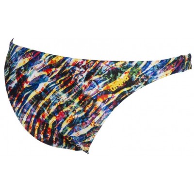 Купальник (низ) Arena FREE BRIEF (001112-504)