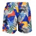 Чоловічі шорти Arena MEN'S BEACH BOXER ALLOVER (005251-320)
