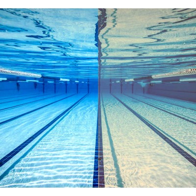 Окуляри для плавання Speedo BIOFUSE 2.0 GOG AF